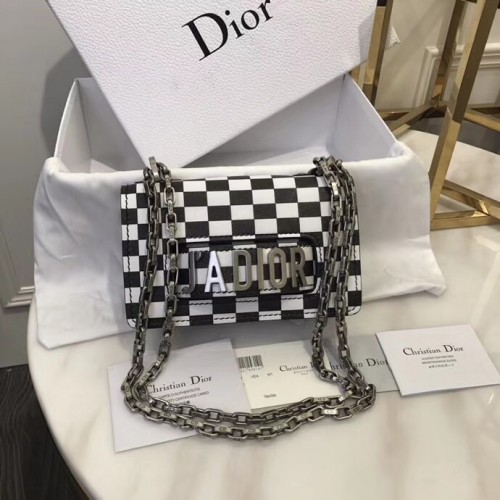 Dior Bag 040